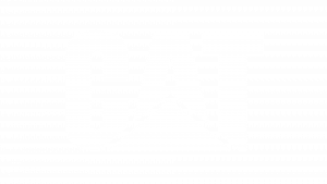 cat logo white