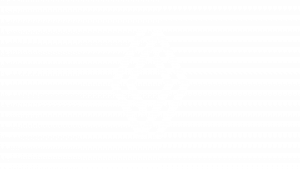 renault white logo